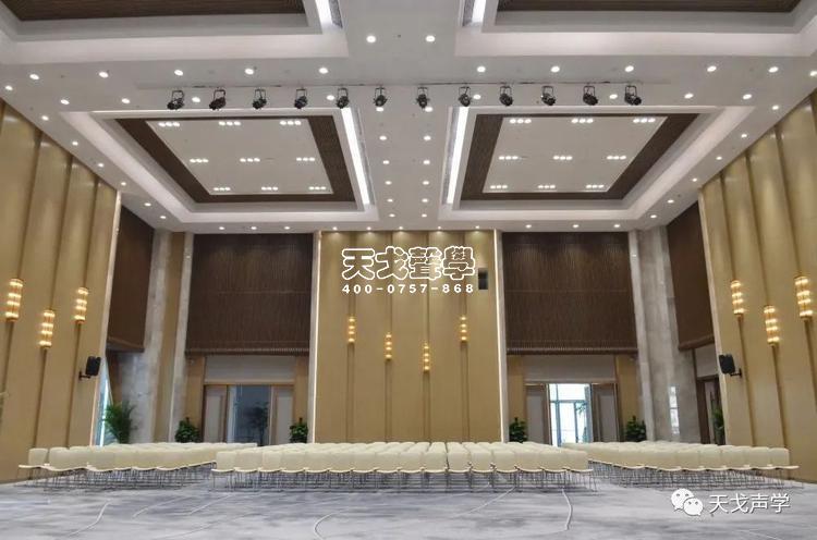 China Software CBD Headquarters International Conference Hall Acoustic Design Project