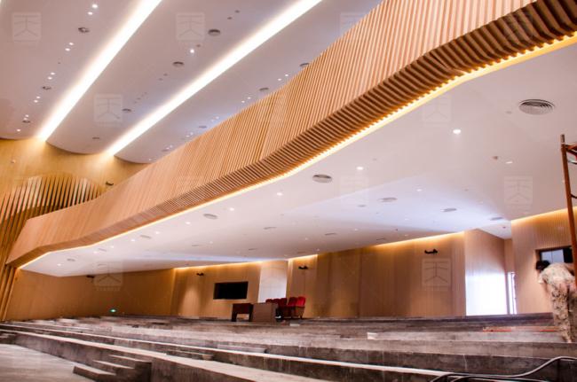 Foshan Central European Center Multi-functional Conference Hall