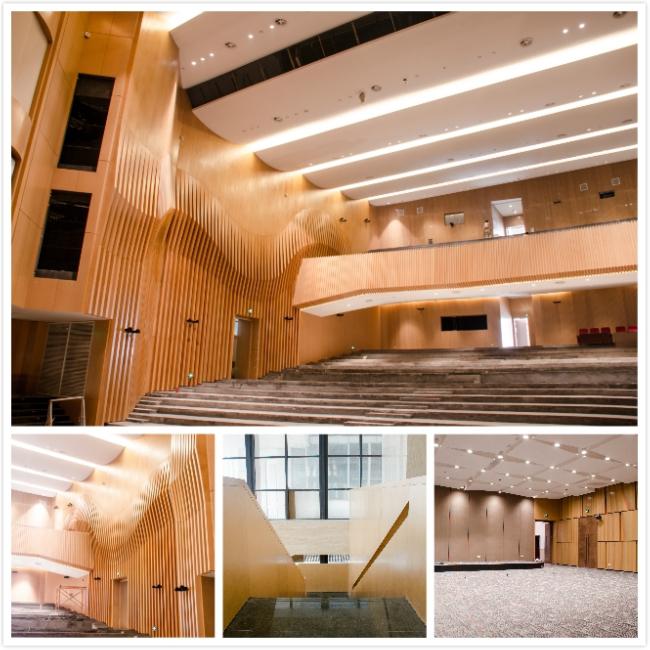 Foshan Central European Center Multi-functional Conference Hall