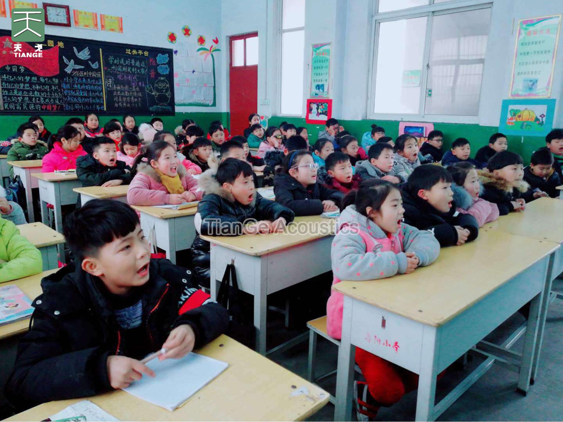 Nanhai Experimental Primary School Classroom