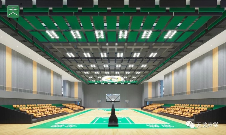 Jiangsu Changshu Longteng Gymnasium-2