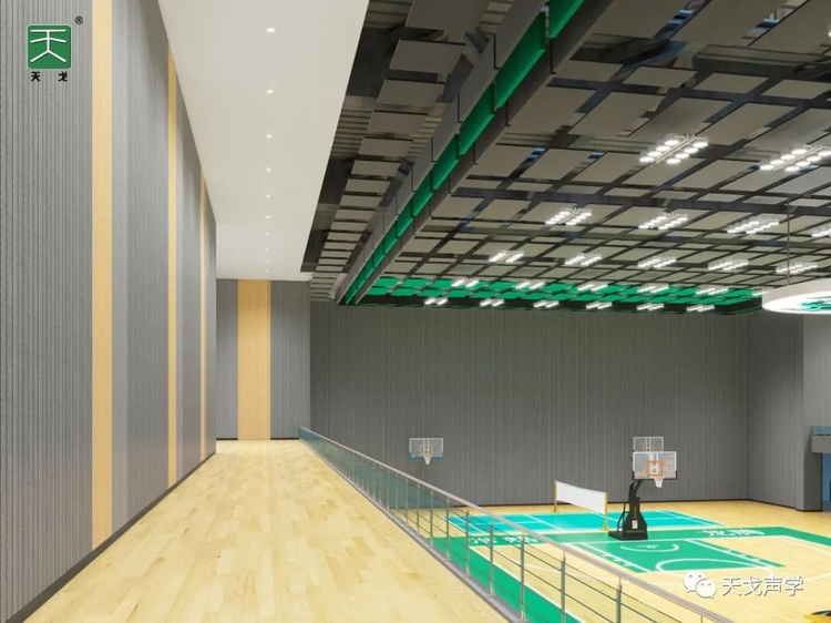 Jiangsu Changshu Longteng Gymnasium-3