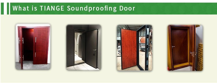 Soundproof Door