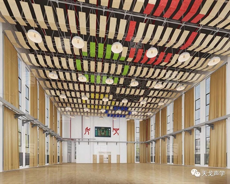 Anhui Hefei Heping Primary School Gymnasium-1