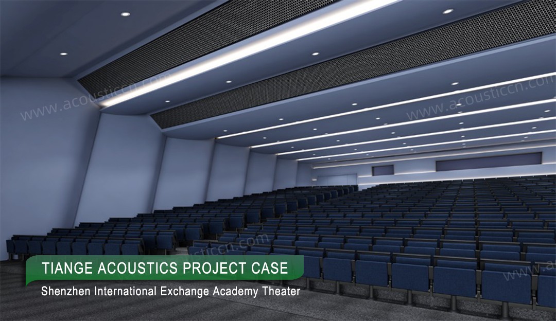 Shenzhen International Exchange Academy Theater-2