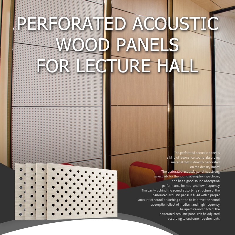 Perforated Acoustic Wood Panels For Lecture Hall