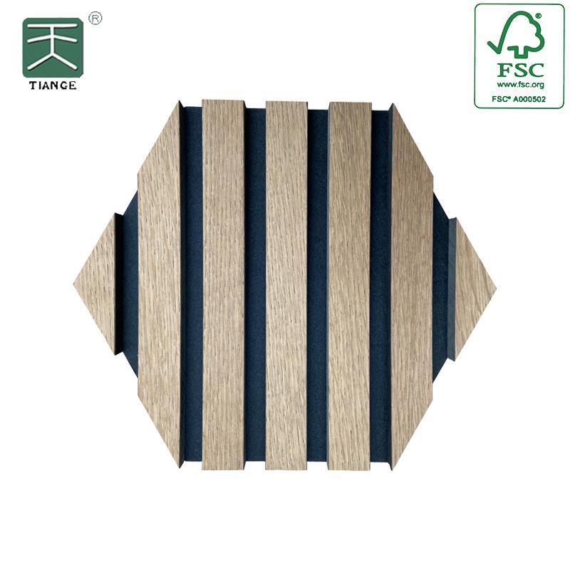 Sound and Decor Harmony with Hexagonal Akupanel