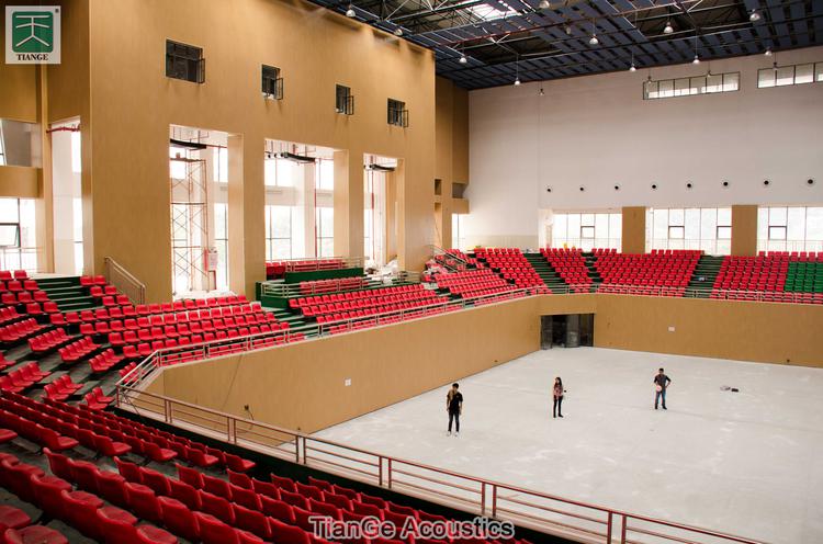 Guangdong Institute of Science and Technology Gymnasium