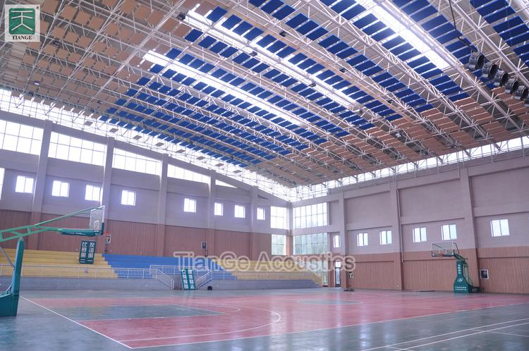 Shandong Zhucheng No1 Middle School Gymnasium