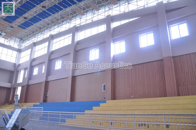 Shandong Zhucheng No1 Middle School Gymnasium