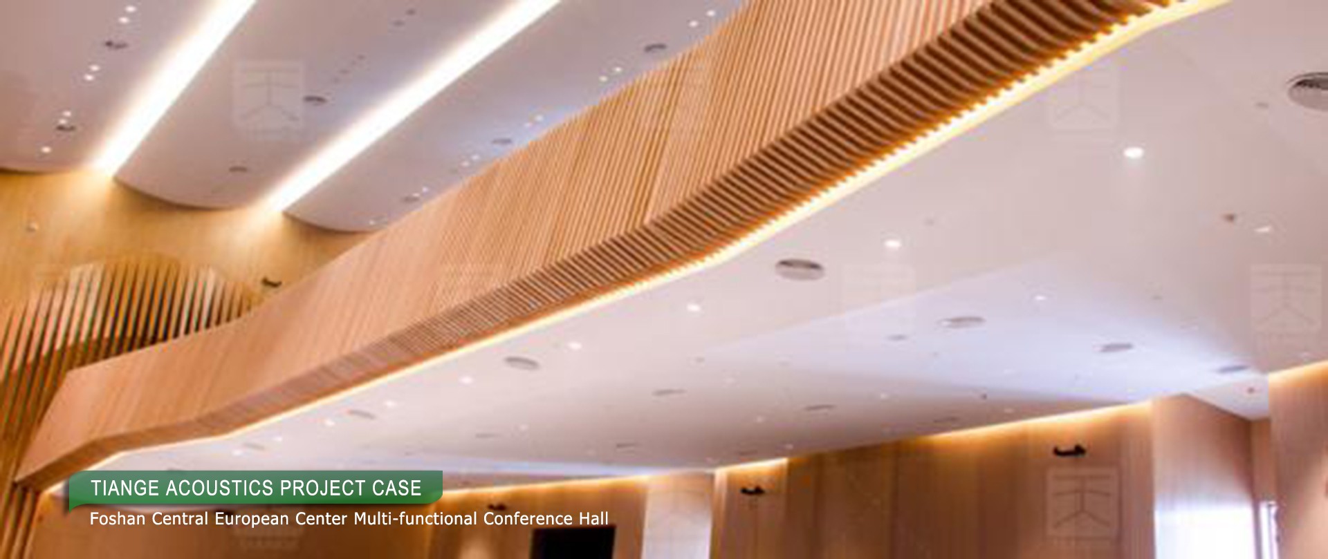 Foshan Central European Center Multi-functional Conference Hall