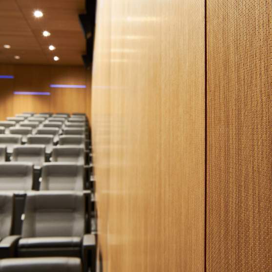 Micro-Perforated Acoustical Wood Panels