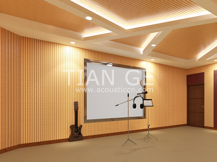 Grooved Wooden Acoustic Panel Gallery