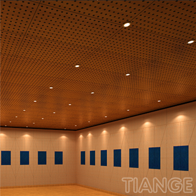 Perforated Wooden Acoustic Panel